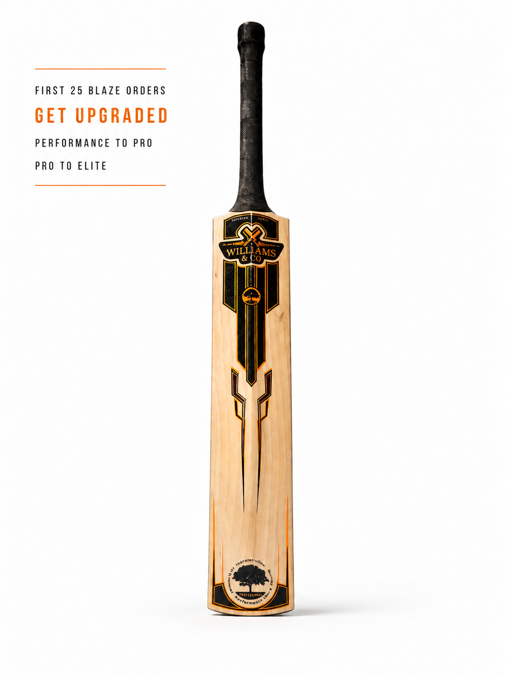 My custom dutch willow cricket bat